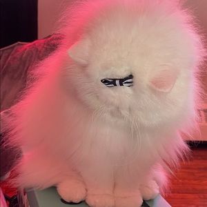 Meet your Posher, Jordan